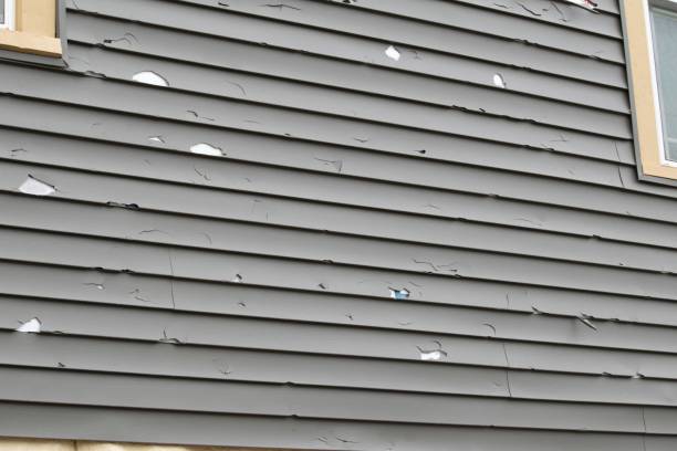 Best Custom Siding Design  in Las Animas, CO